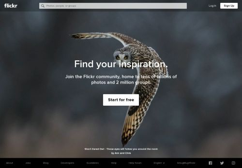 flickr.com