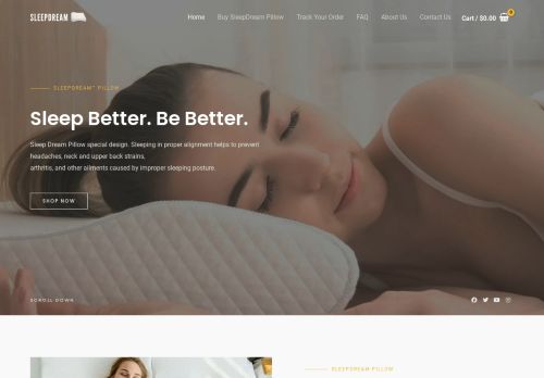 sleepdreampillow.com