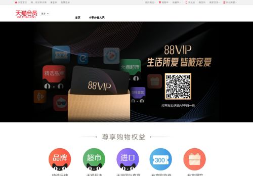 vip.tmall.com